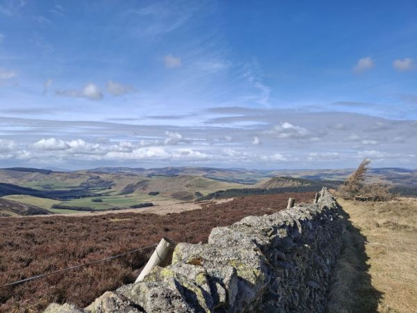 View from Newby Kipps